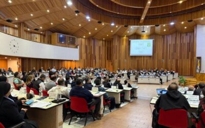 Mexican National Safeguarding Meeting Highlights Victims’ Needs in Reporting Abuse 